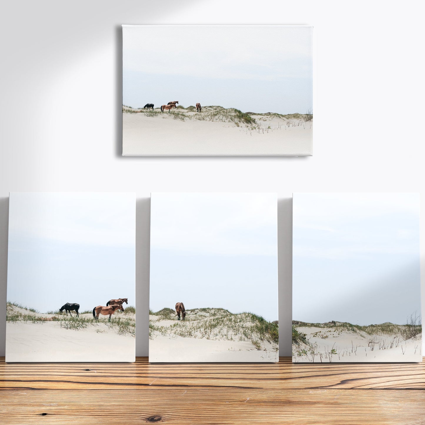 Canvas - Sand Dune Wild Mustangs of Corolla Beach, Outer Banks