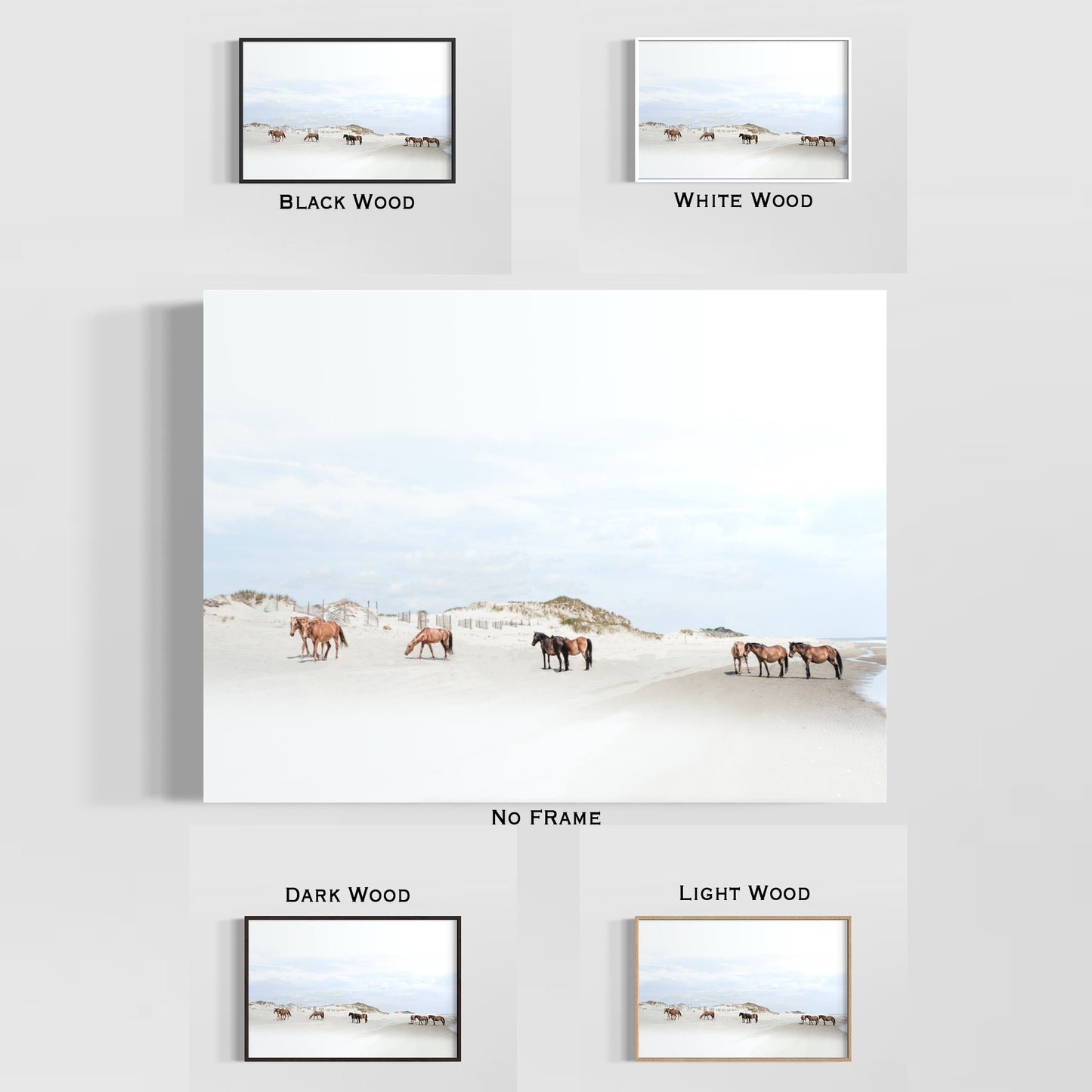 Framed Posters - Beachside Wild Mustangs of Corolla Beach, Outer Banks