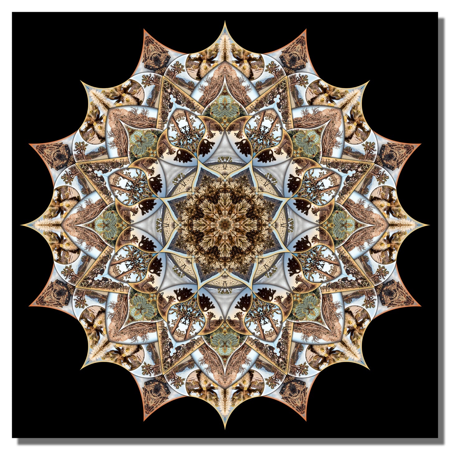 Optical Mirage - Limited Edition Original