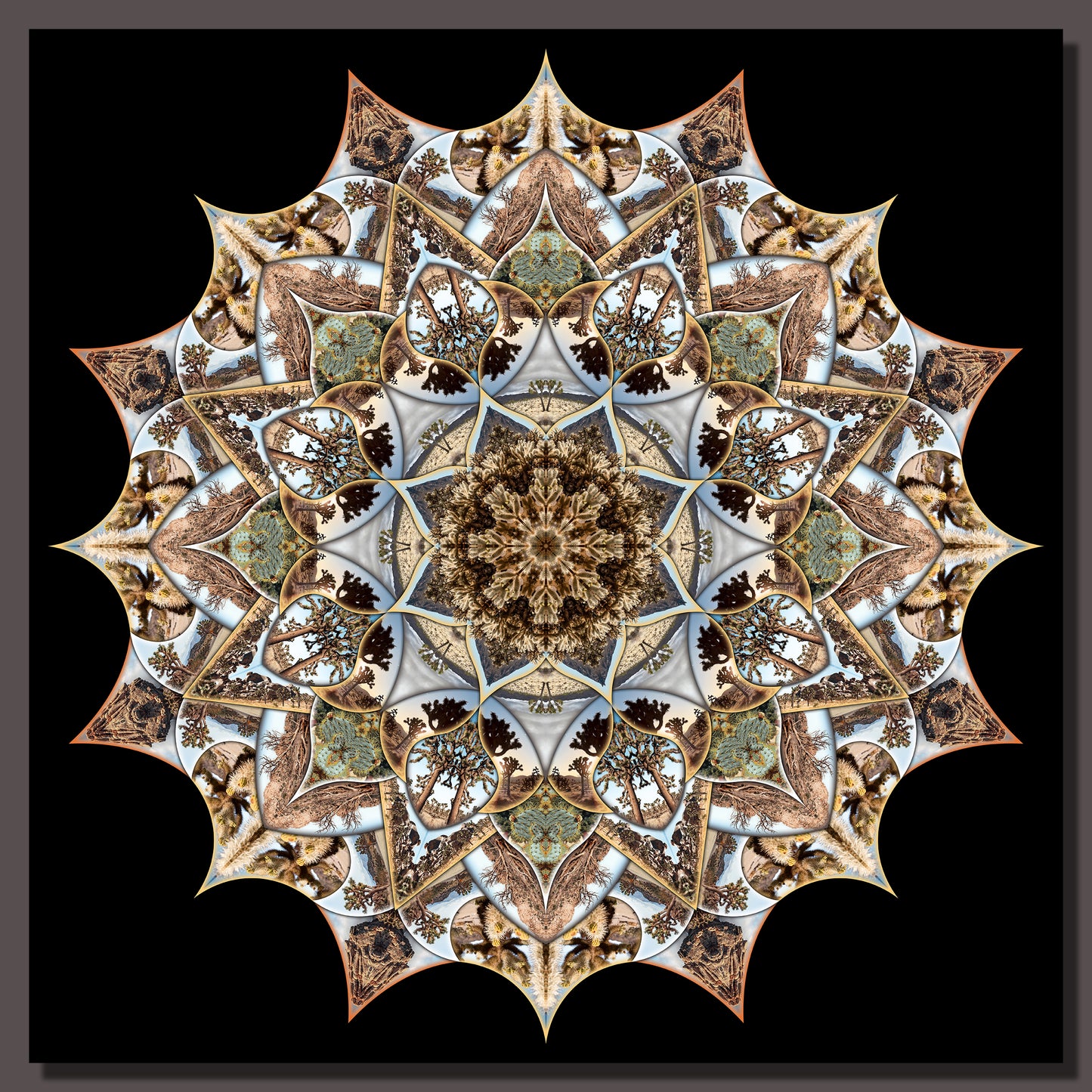 Optical Mirage - Limited Edition Original