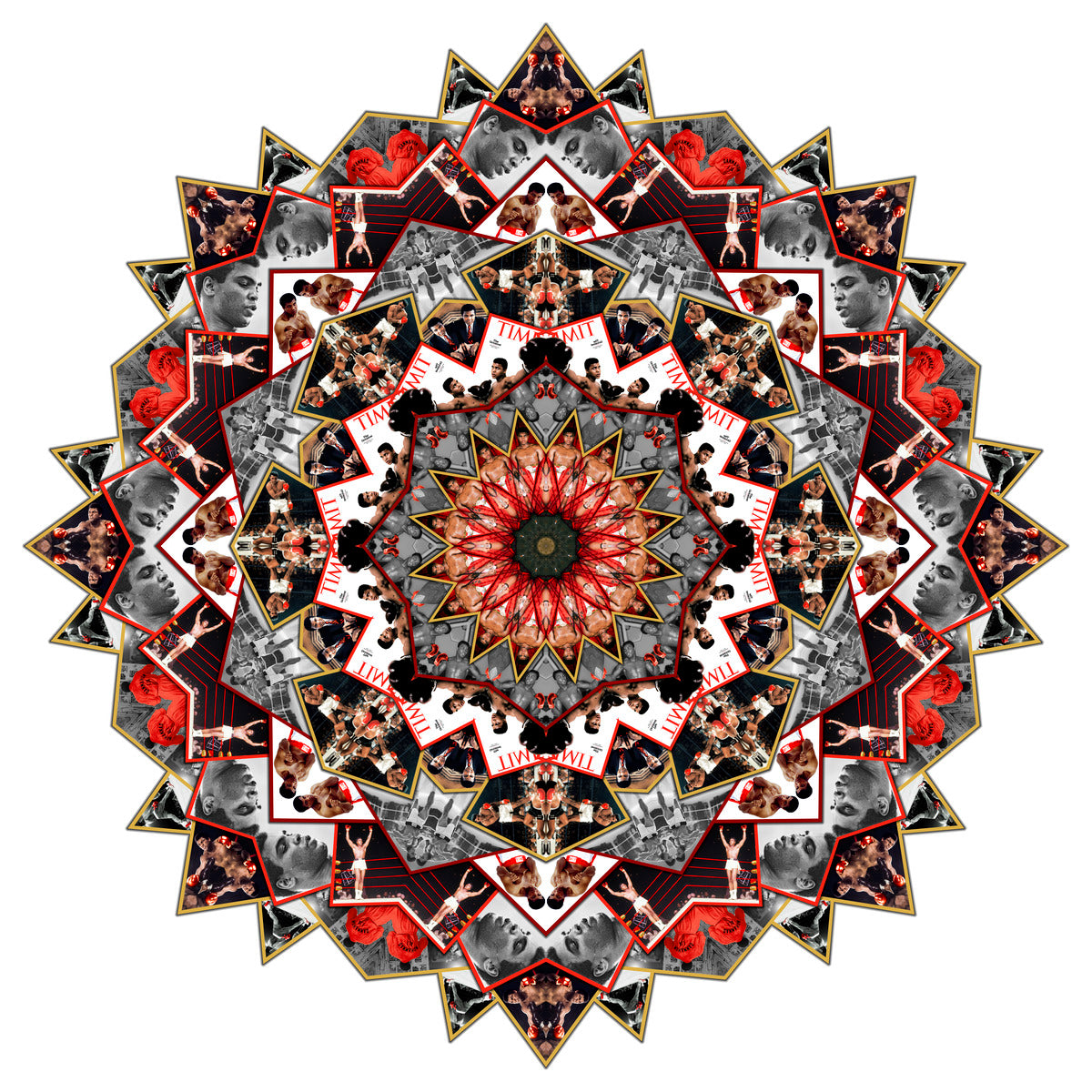 Sting Like A Bee - Limited Edition Print