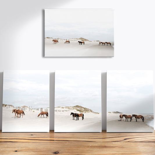 Canvas - Beachside Wild Mustangs of Corolla Beach, Outer Banks