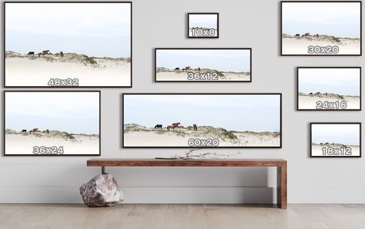 Floating Frame Canvas - Sand Dune Wild Mustangs of Corolla Beach, Outer Banks