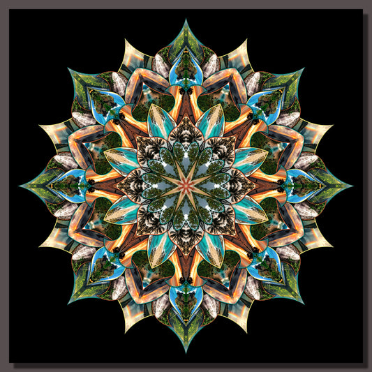 The Upgrade - Limited Edition Original