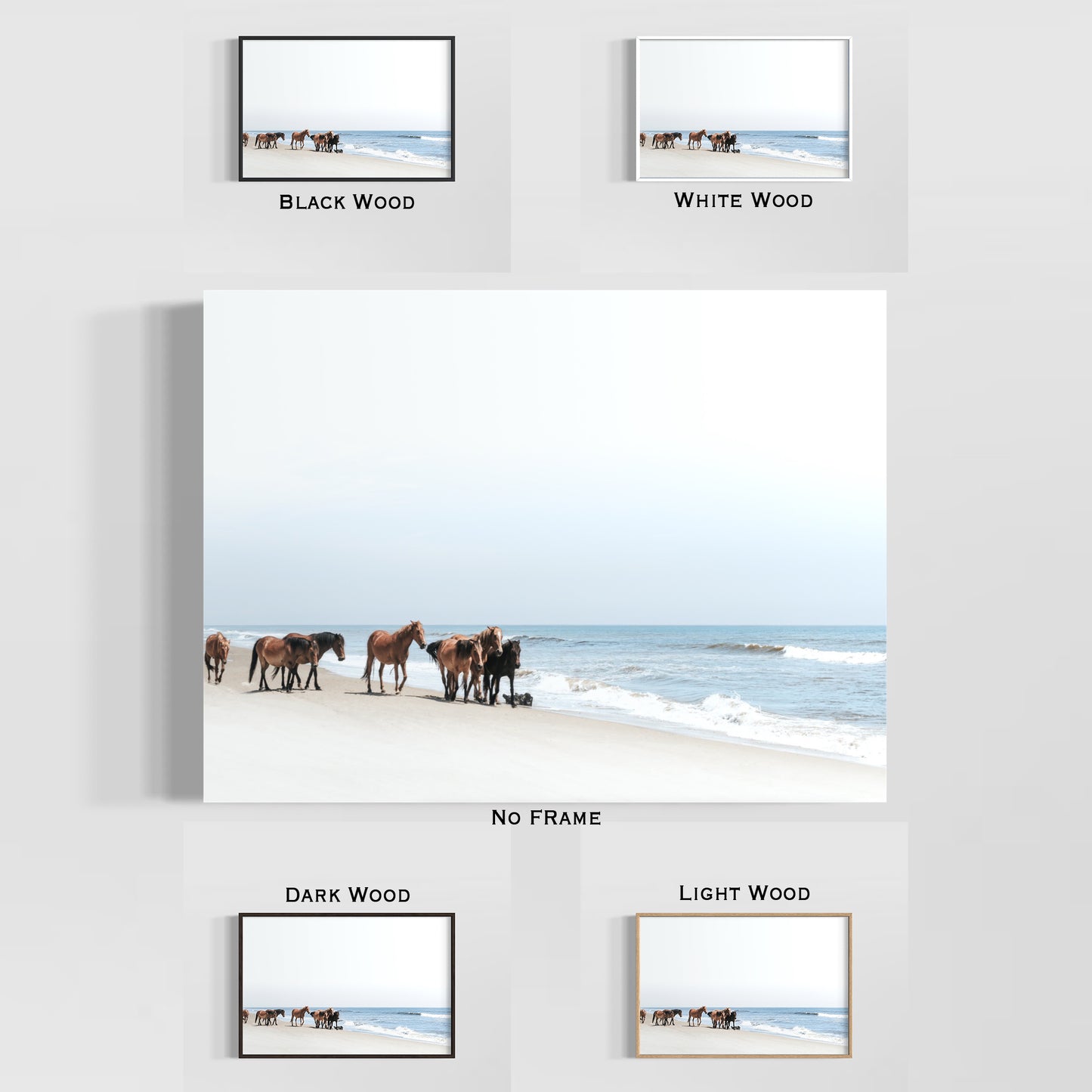 Framed Posters - Coastal Wild Mustangs of Corolla Beach, Outer Banks