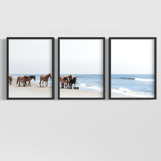 Framed Posters - Coastal Wild Mustangs of Corolla Beach, Outer Banks
