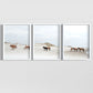 Framed Posters - Beachside Wild Mustangs of Corolla Beach, Outer Banks