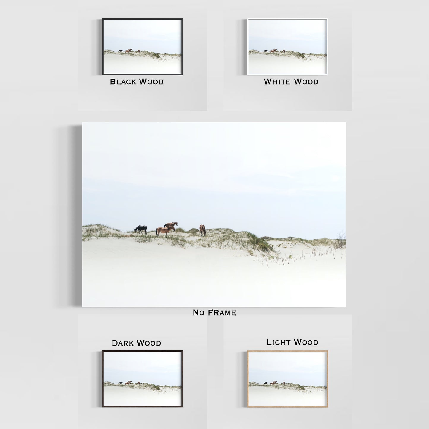 Framed Posters - Sand Dune Wild Mustangs of Corolla Beach, Outer Banks