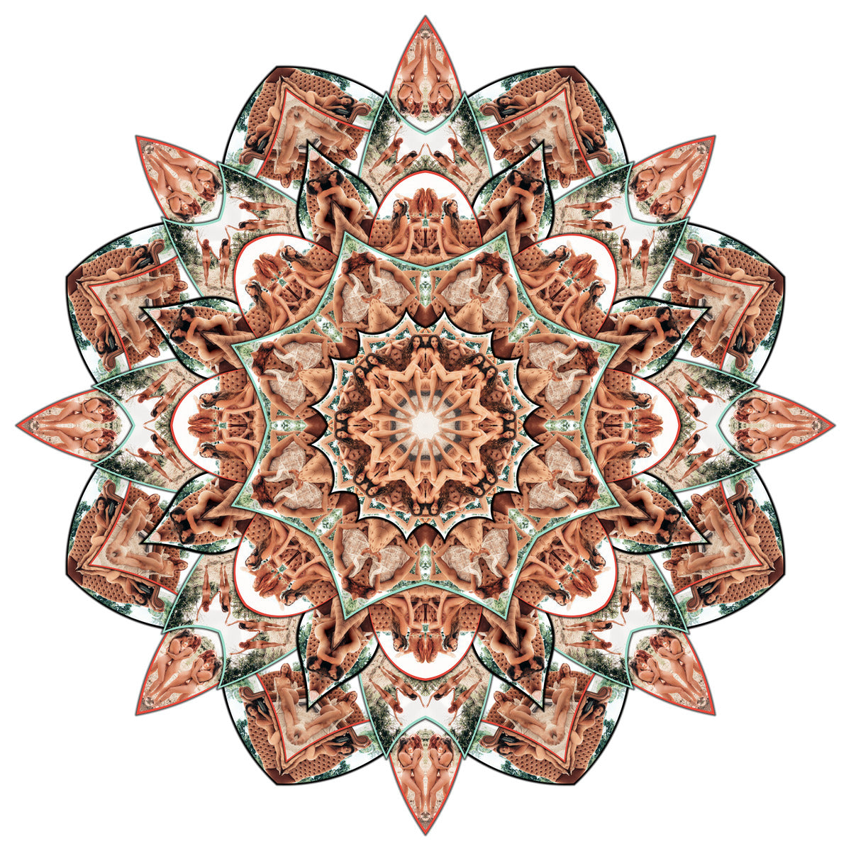 A Butterflies Flight - Limited Edition Print