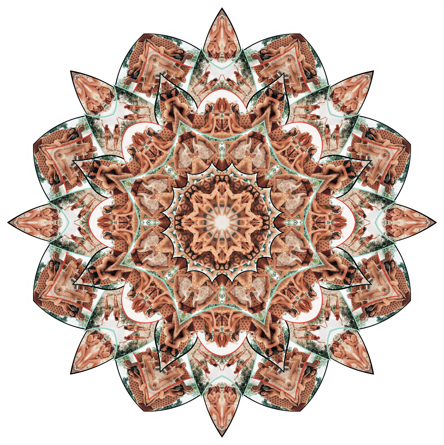 A Butterflies Flight - Limited Edition Original